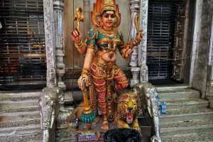LITTLE INDIA (153)